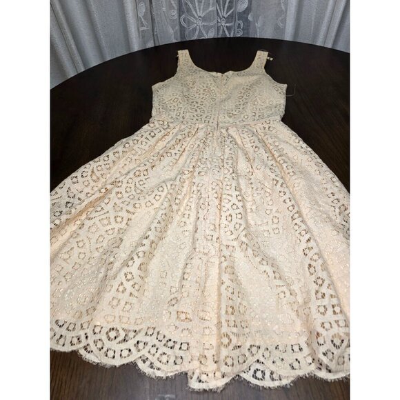 J Crew Blush Broderie Anglaise Dress, size 0 - Picture 3 of 16